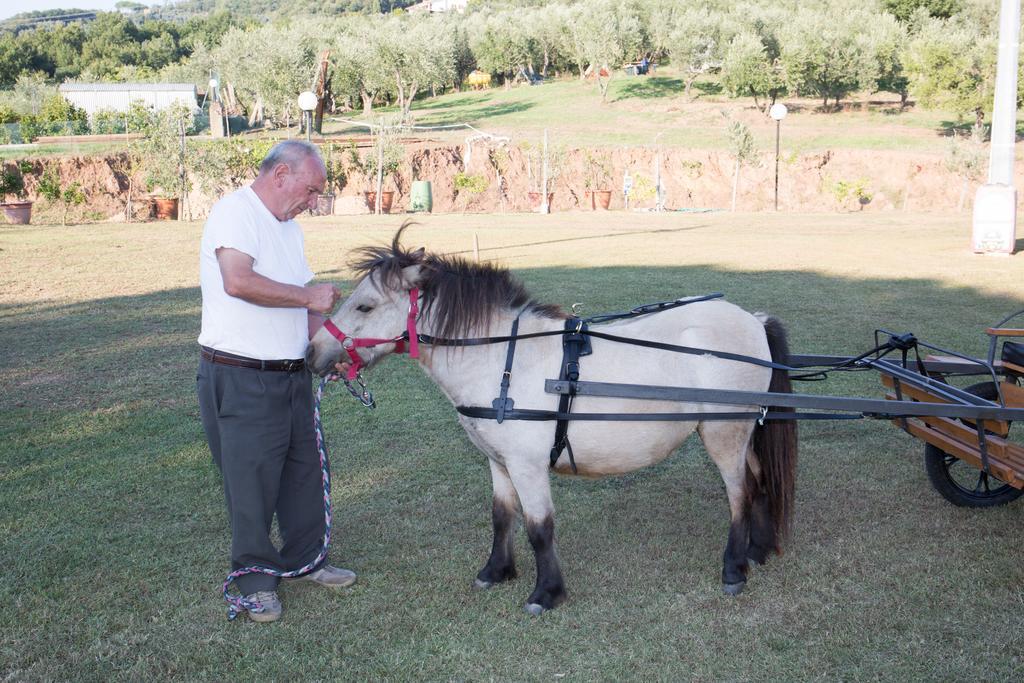 Agriturismo Poggetto Larciano Екстериор снимка